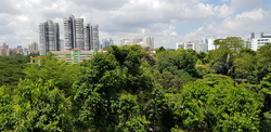 Blk 37 Telok Blangah Rise (Bukit Merah), HDB 5 Rooms #180461212